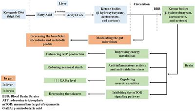 A Ketogenic Diet and the Treatment of Autism Spectrum Disorder